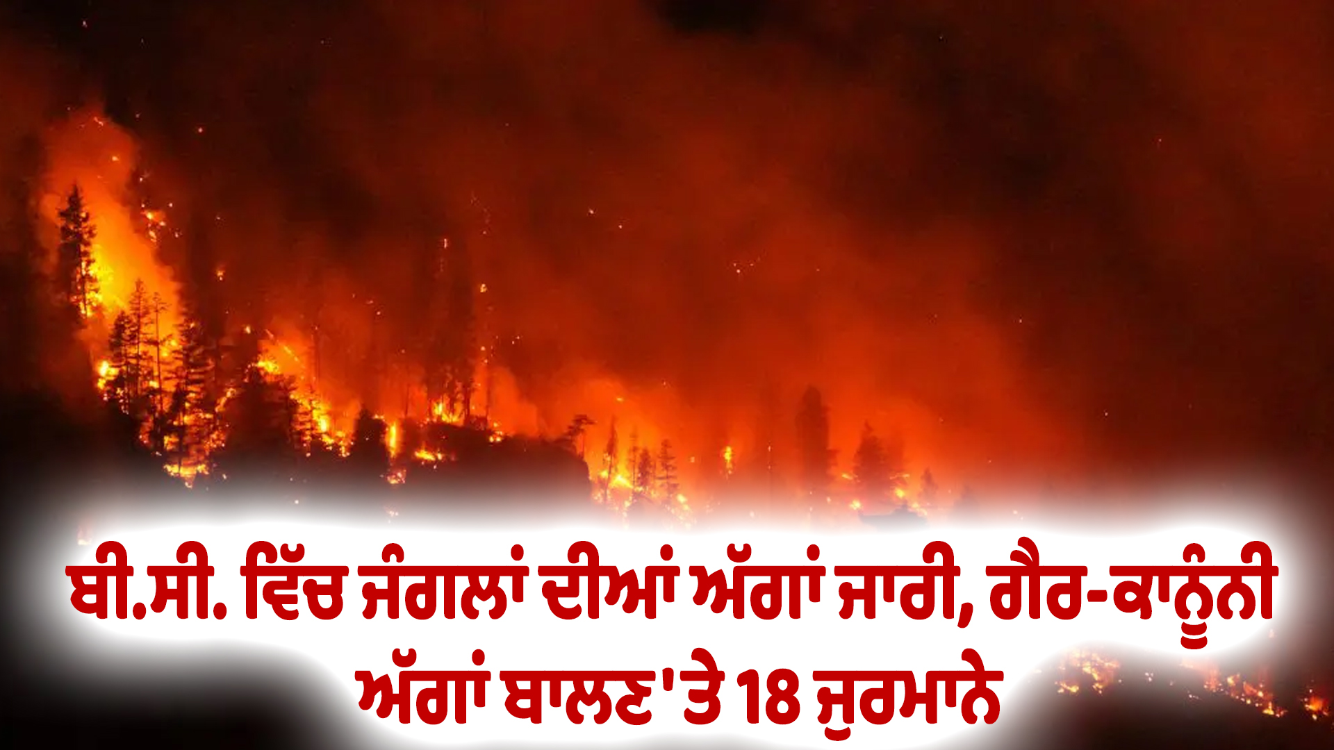 ਬੀ.ਸੀ. ਵਿੱਚ ਜੰਗਲਾਂ ਦੀਆਂ ਅੱਗਾਂ ਜਾਰੀ, ਗੈਰ-ਕਾਨੂੰਨੀ ਅੱਗਾਂ ਬਾਲਣ 'ਤੇ 18 ਜੁਰਮਾਨੇ