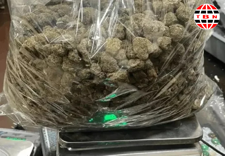 ਕਸਟਮ ਵਿਭਾਗ ਨੇ ਵੱਡੀ ਸਫਲਤਾ ਕੀਤੀ ਹਾਸਲ, 3 ਕਿਲੋ ਭੰਗ ਬਰਾਮਦ