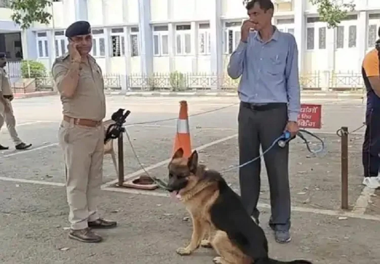 ਸਕੂਲਾਂ ਅਦਾਲਤਾਂ ਤੋਂ ਬਾਅਦ ਹੁਣ ਡੀਸੀ ਦਫ਼ਤਰਾਂ ਨੂੰ ਉਡਾਉਣ ਦੀ ਮਿਲੀ ਧਮਕੀ, ਭਾਰੀ ਪੁਲਿਸ ਫੋਰਸ ਤਾਇਨਾਤ