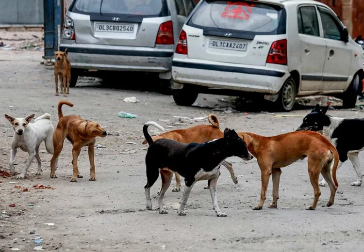 ਪਰਿਵਾਰ ਦੇ ਸਾਰੇ ਜੀਆਂ ਨੂੰ ਲੱਗੀ ਅਜਿਹੀ ਬਿਮਾਰੀ, ਪੀਜੀਆਈ ਚੰਡੀਗੜ੍ਹ ਕੀਤੇ ਰੈਫਰ