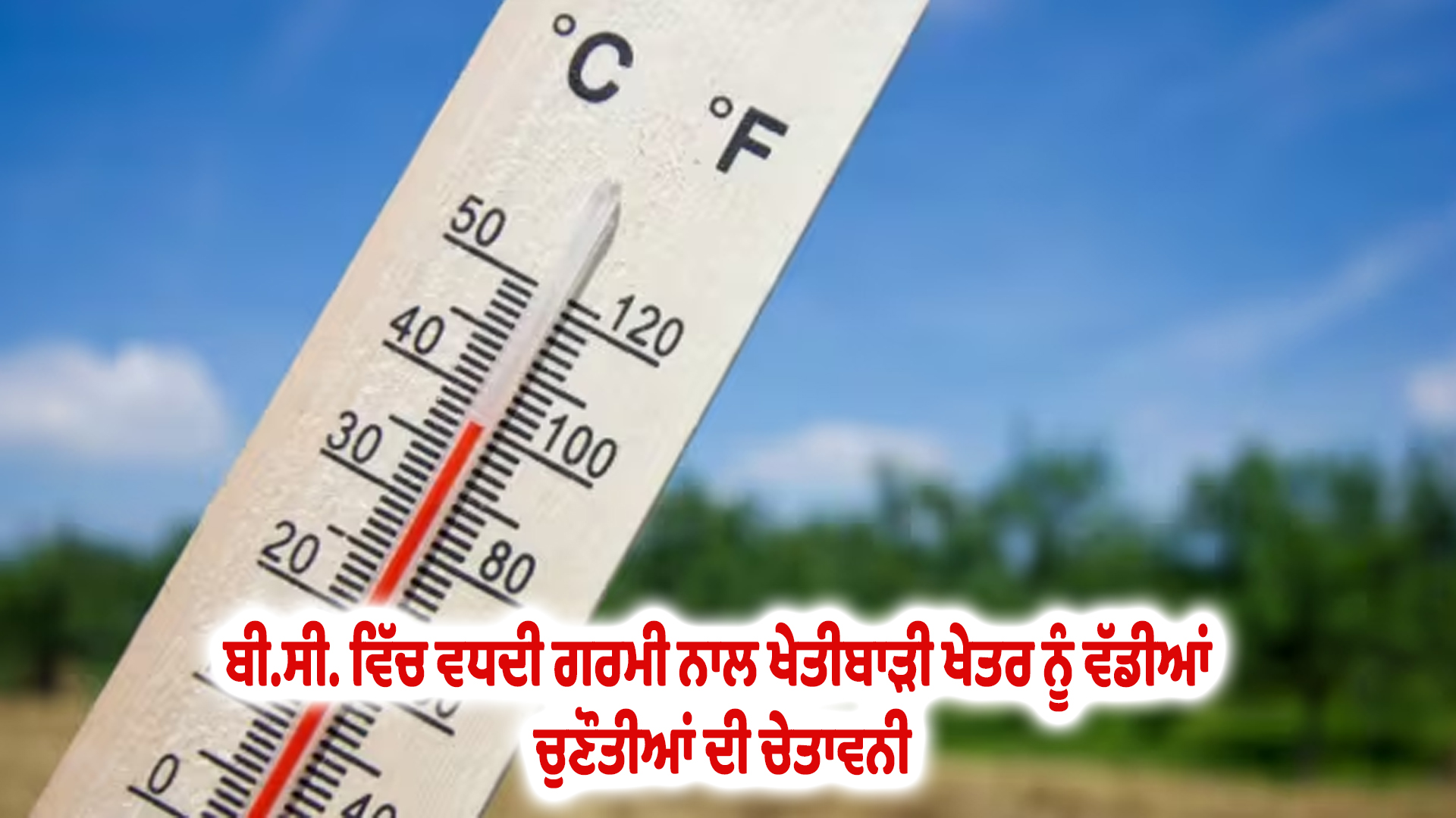ਬੀ.ਸੀ. ਵਿੱਚ ਵਧਦੀ ਗਰਮੀ ਨਾਲ ਖੇਤੀਬਾੜੀ ਖੇਤਰ ਨੂੰ ਵੱਡੀਆਂ ਚੁਣੌਤੀਆਂ ਦੀ ਚੇਤਾਵਨੀ