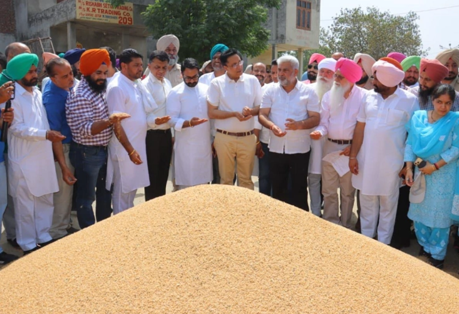 ਕੈਬਿਨਟ ਮੰਤਰੀ ਲਾਲ ਚੰਦ ਕਟਾਰੂਚੱਕ ਨੇ ਭਗਤਾਂਵਾਲਾ ਦਾਣਾ ਮੰਡੀ ‘ਚ ਕਣਕ ਖ਼ਰੀਦ ਦਾ ਲਿਆ ਜਾਇਜ਼ਾ