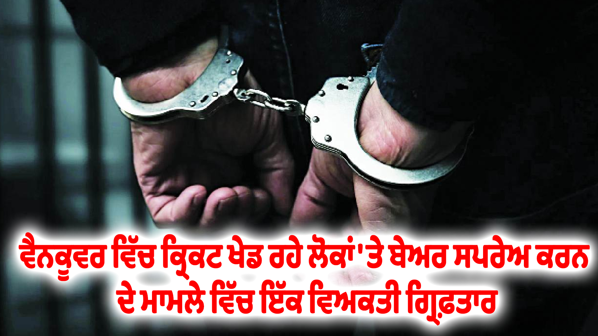 ਵੈਨਕੂਵਰ ਵਿੱਚ ਕ੍ਰਿਕਟ ਖੇਡ ਰਹੇ ਲੋਕਾਂ 'ਤੇ ਬੇਅਰ ਸਪਰੇਅ ਕਰਨ ਦੇ ਮਾਮਲੇ ਵਿੱਚ ਇੱਕ ਵਿਅਕਤੀ ਗ੍ਰਿਫ਼ਤਾਰ