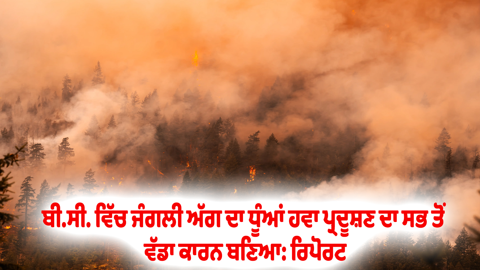 ਬੀ.ਸੀ. ਵਿੱਚ ਜੰਗਲੀ ਅੱਗ ਦਾ ਧੂੰਆਂ ਹਵਾ ਪ੍ਰਦੂਸ਼ਣ ਦਾ ਸਭ ਤੋਂ ਵੱਡਾ ਕਾਰਨ ਬਣਿਆ: ਰਿਪੋਰਟ
