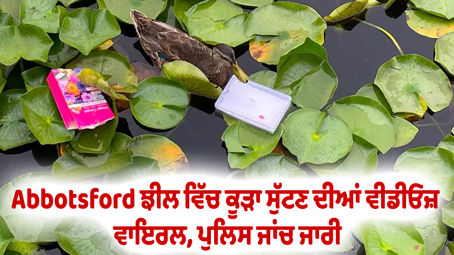 Abbotsford ਝੀਲ ਵਿੱਚ ਕੂੜਾ ਸੁੱਟਣ ਦੀਆਂ ਵੀਡੀਓਜ਼ ਵਾਇਰਲ, ਪੁਲਿਸ ਜਾਂਚ ਜਾਰੀ