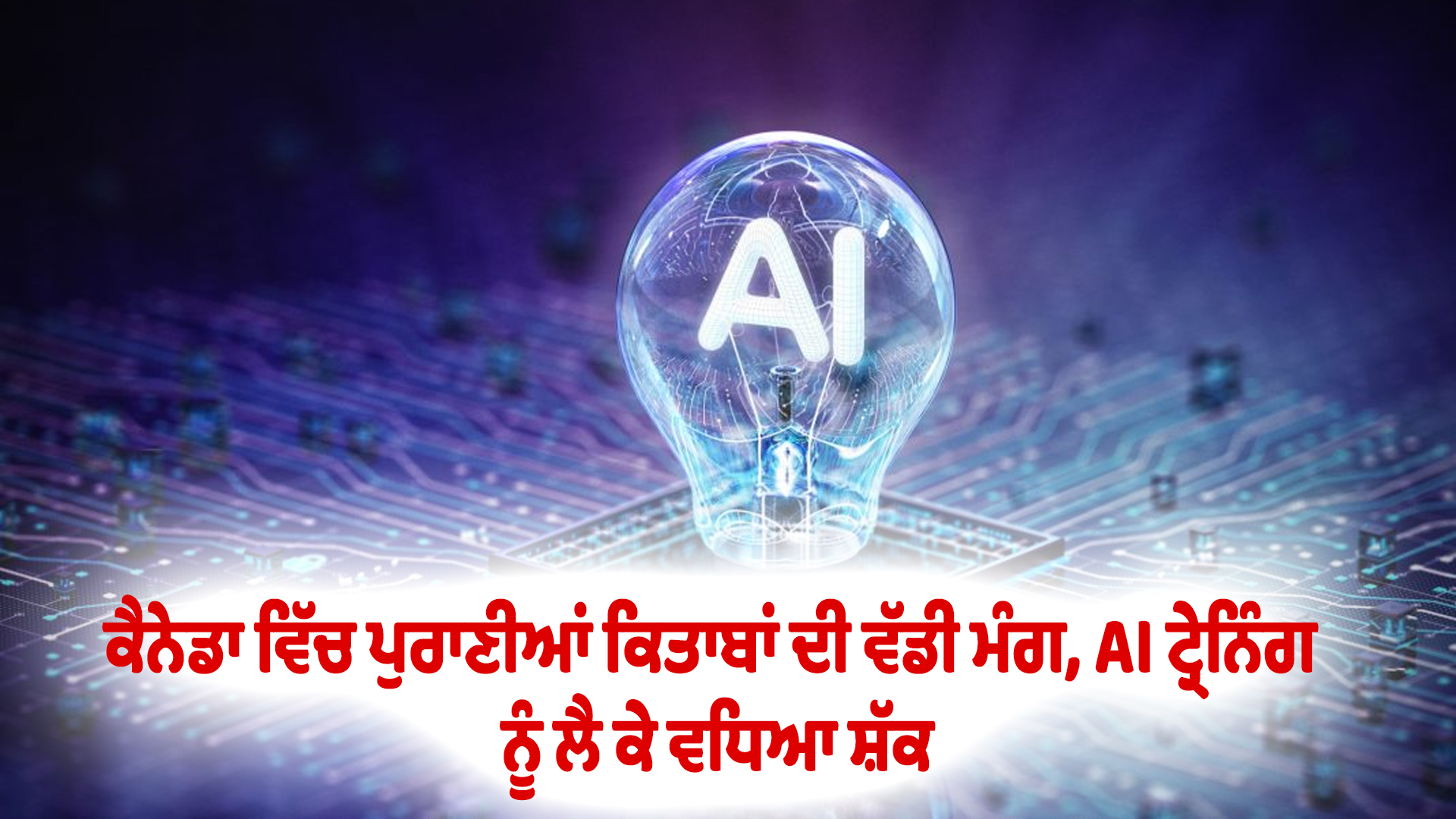 ਕੈਨੇਡਾ ਵਿੱਚ ਪੁਰਾਣੀਆਂ ਕਿਤਾਬਾਂ ਦੀ ਵੱਡੀ ਮੰਗ, AI ਟ੍ਰੇਨਿੰਗ ਨੂੰ ਲੈ ਕੇ ਵਧਿਆ ਸ਼ੱਕ