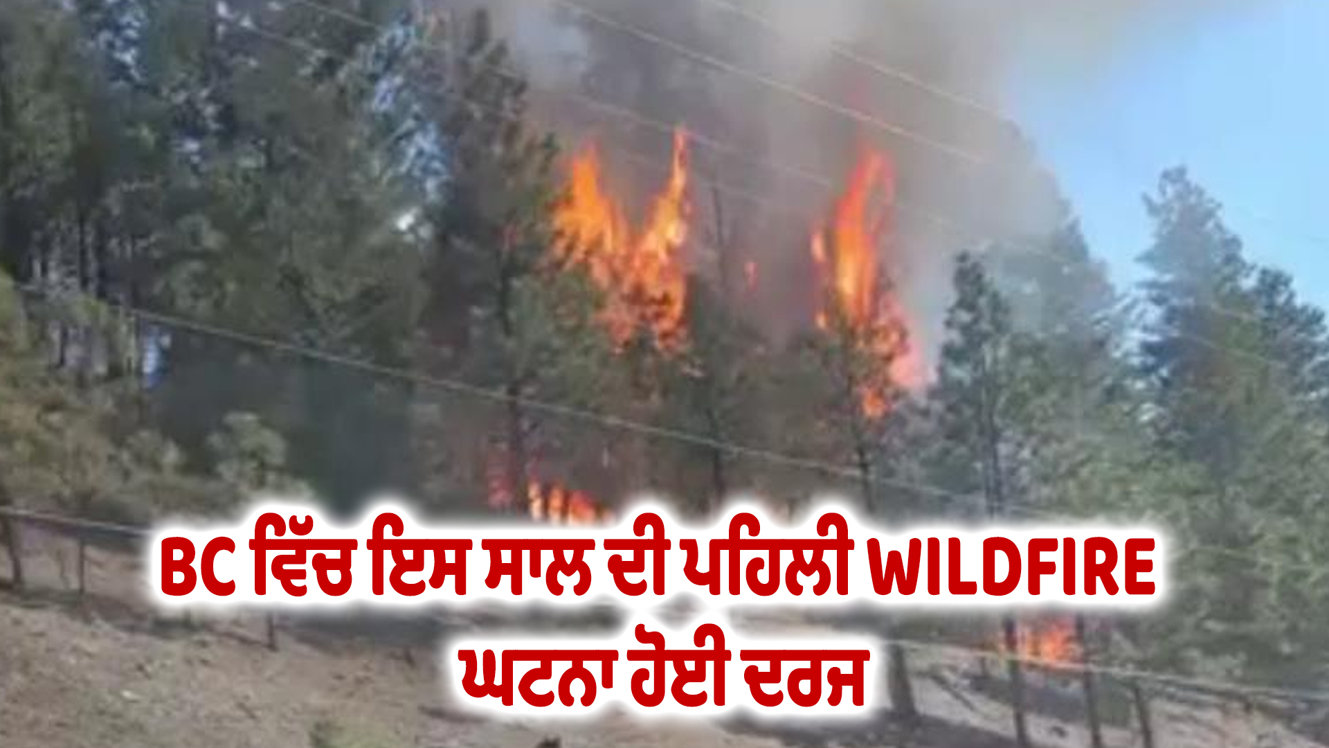 BC ਵਿੱਚ ਇਸ ਸਾਲ ਦੀ ਪਹਿਲੀ WILDFIRE ਘਟਨਾ ਹੋਈ ਦਰਜ