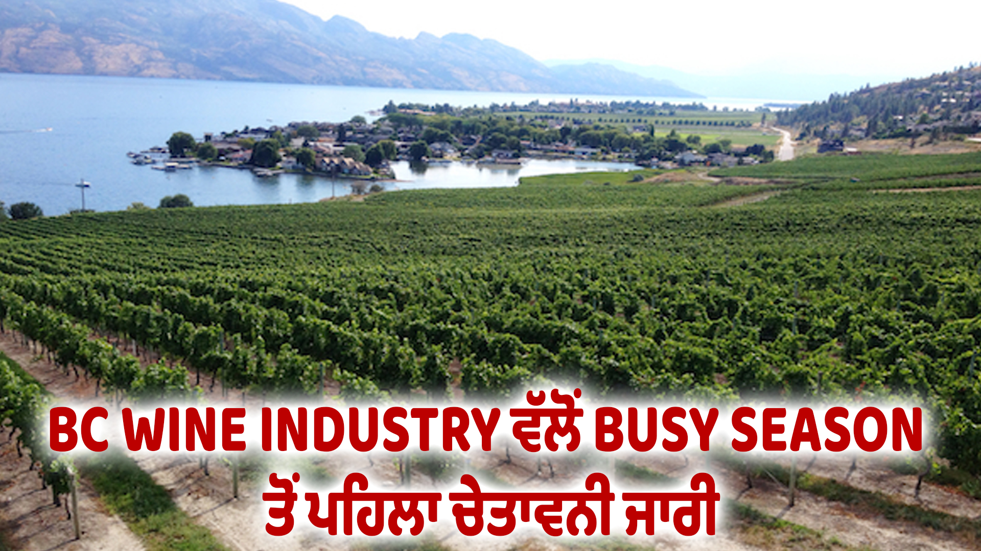 BC WINE INDUSTRY ਵੱਲੋਂ BUSY SEASON ਤੋਂ ਪਹਿਲਾ ਚੇਤਾਵਨੀ ਜਾਰੀ