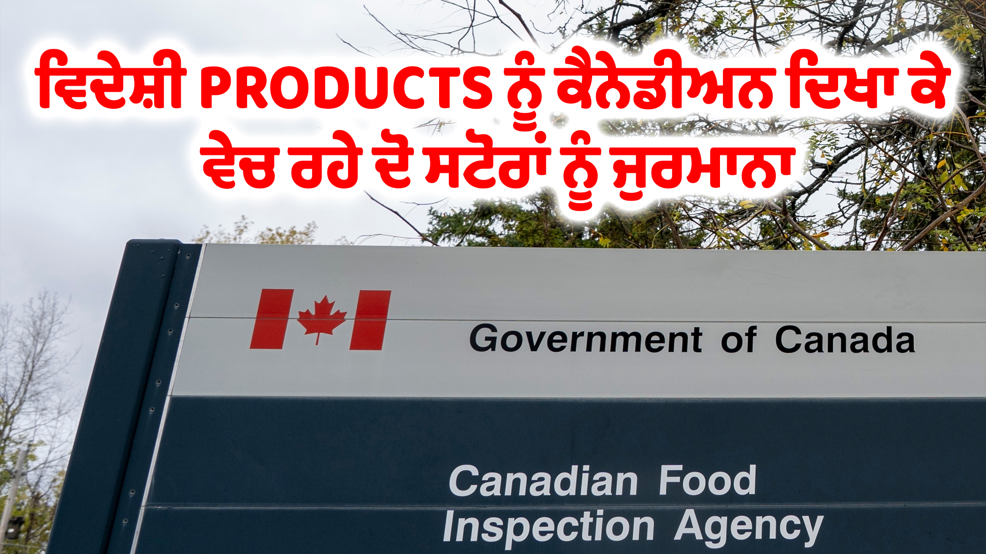ਵਿਦੇਸ਼ੀ PRODUCTS ਨੂੰ ਕੈਨੇਡੀਅਨ ਦਿਖਾ ਕੇ ਵੇਚ ਰਹੇ ਦੋ ਸਟੋਰਾਂ ਨੂੰ ਜੁਰਮਾਨਾ